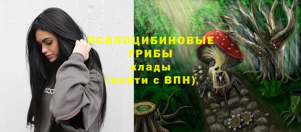 спайс Арсеньев