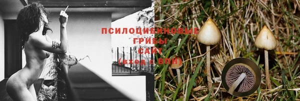 герыч Зерноград