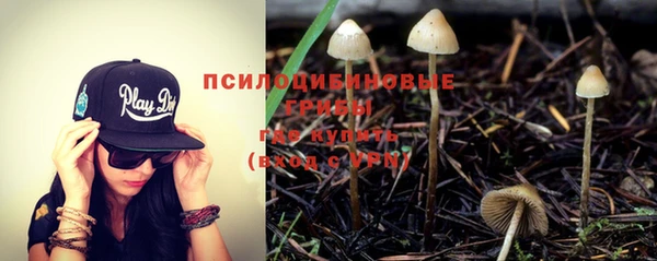 хмурый Армянск