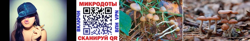сколько стоит  мега ONION  Галлюциногенные грибы MAGIC MUSHROOMS  Пустошка 